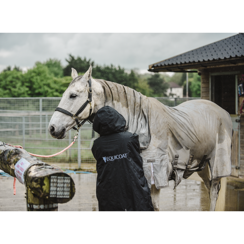 Equicoat Original - Adult - Black-9